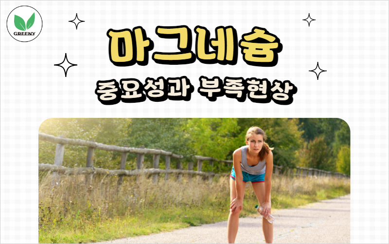 마그네슘 중요성과 부족현상