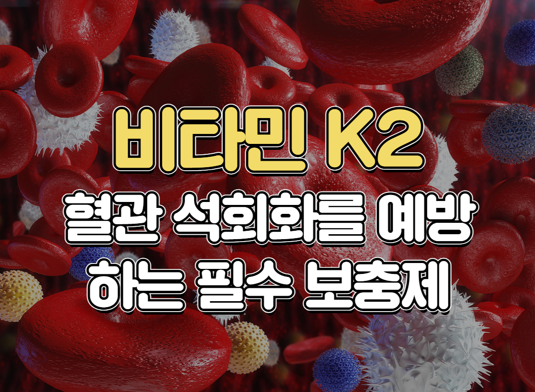 비타민 K2: 혈관 석회화를 예방하는 필수 보충제