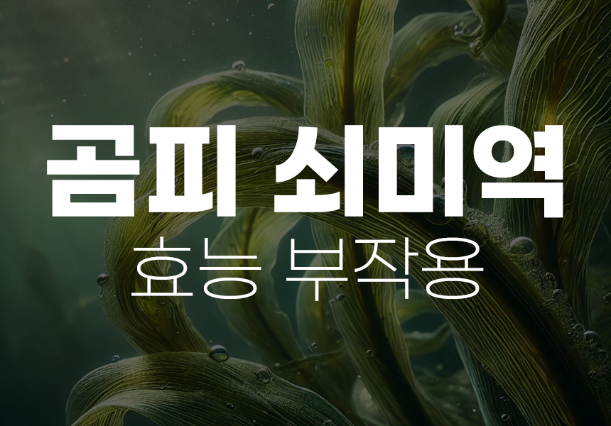 곰피 쇠미역 효능 부작용