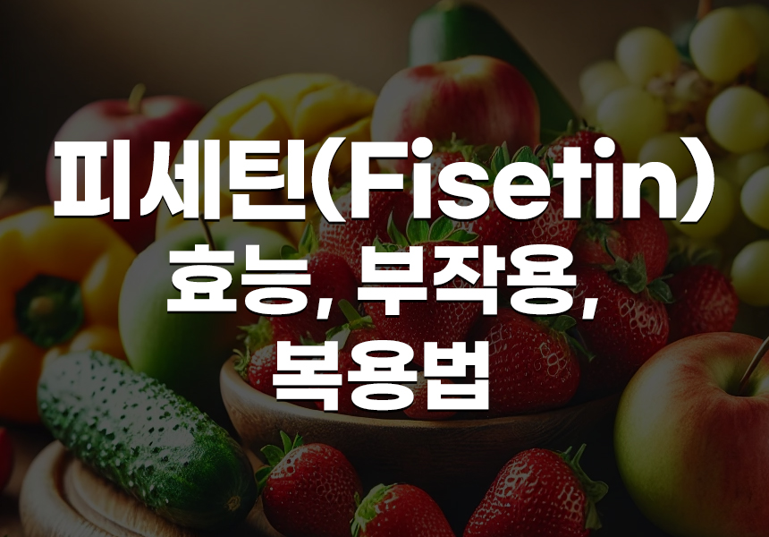 피세틴 효능 부작용 복용법