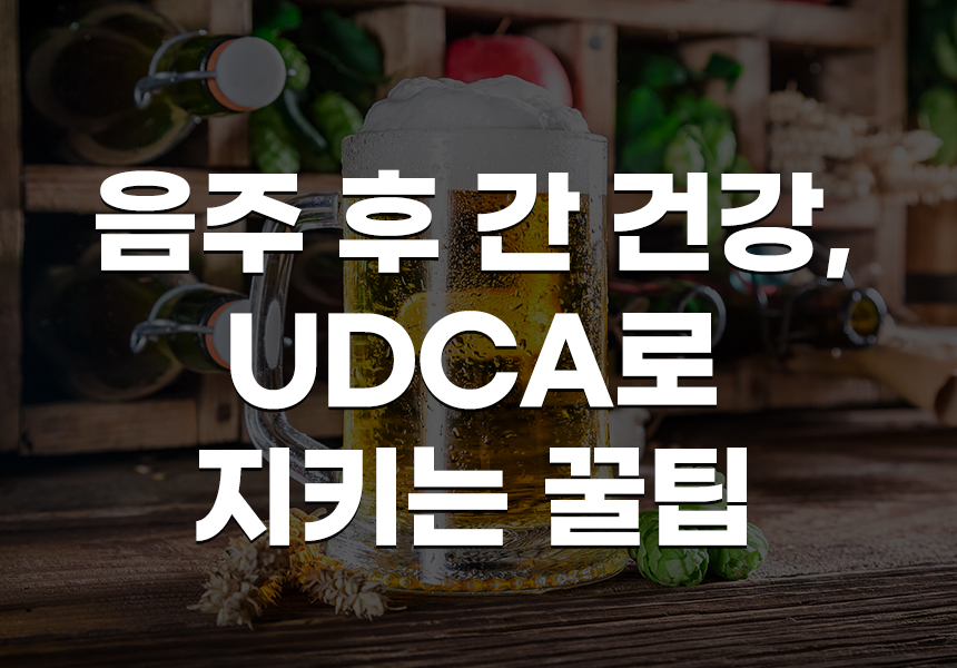 음주 후 간 건강, UDCA 로 지키는 꿀팁