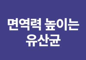 면역력 높이는 유산균