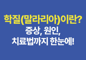 학질(말라리아)이란? 증상, 원인, 치료법까지 한눈에!