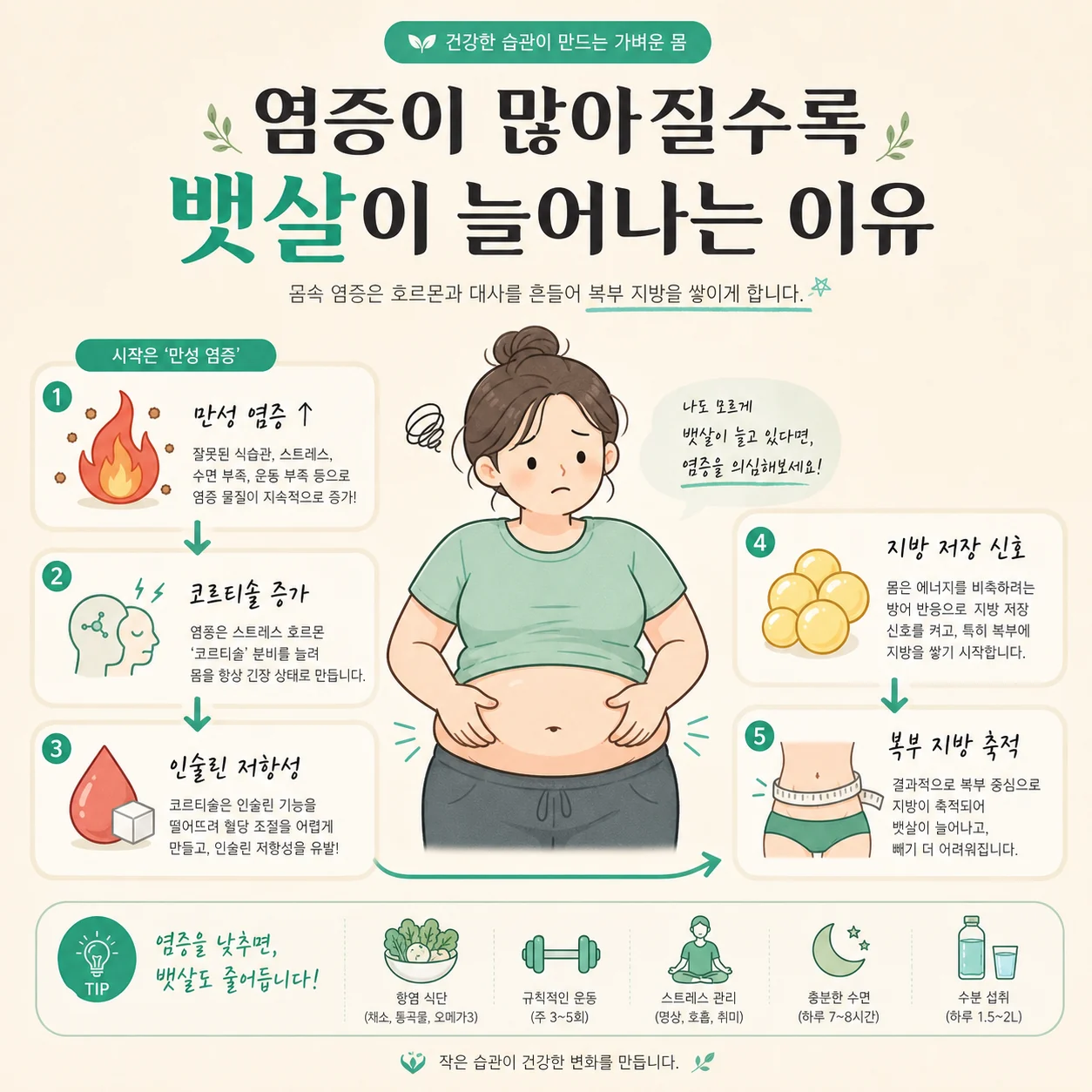 글의 만성 염증과 복부 비만의 상관관계 이미지